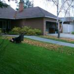 Blow your leaves on the lawn and  use your SNAPPER Lawn Mower to pick them up.